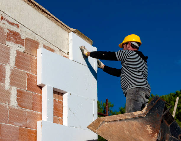 Best Professional Insulation Contractor  in Essex Village, CT
